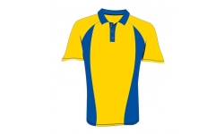 Polo Shirt-1